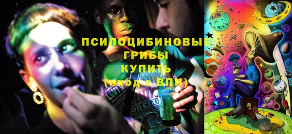 дурь Алзамай