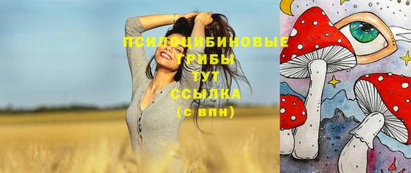 дурь Алзамай